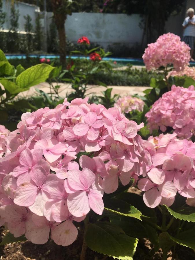 Вілла Chale Rosa Do Vale Петрополіс Екстер'єр фото